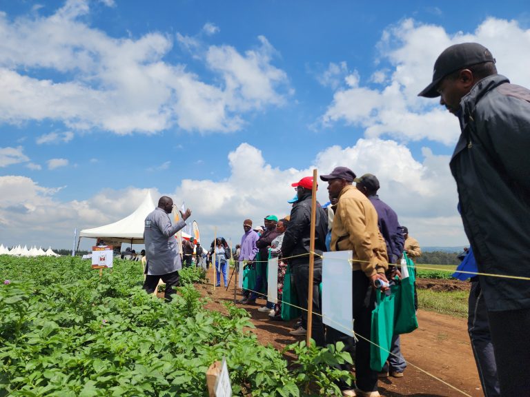 Kenia gastheer 13e World Potato Congress in najaar 2026