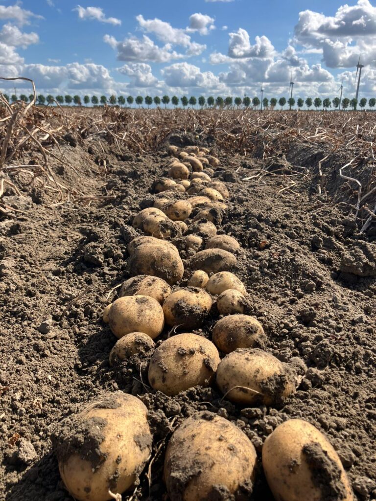 PotatoEurope 2025