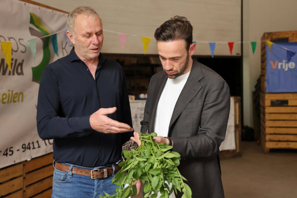Op het akkerbouwbedrijf van Erik Emmens in Zeijen startte begin juni een praktijkpilot met een groen gewasbeschermingsmiddel tegen Phytophthora. De pilot moet duidelijk maken hoe telers biologische middelen kunnen inpassen in de geïntegreerde bestrijding van de ziekte. 