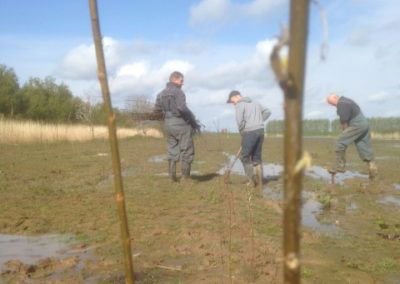 Beplanting Noordwaard