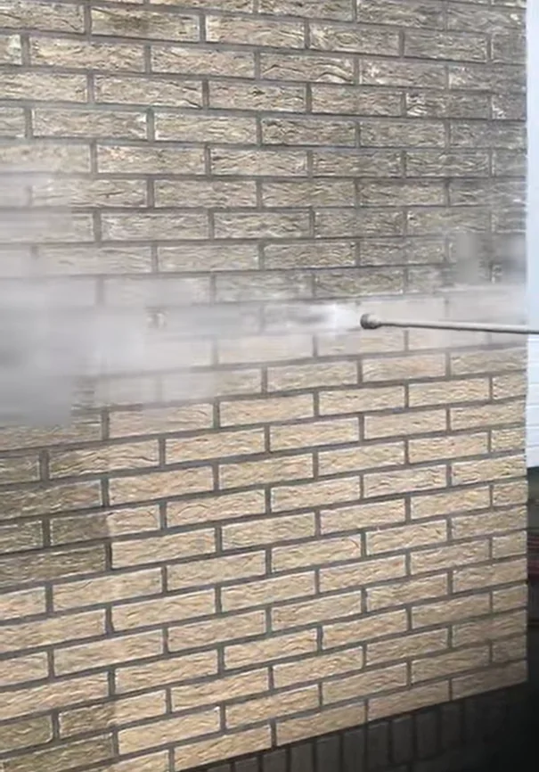 Stoomreinigen 3