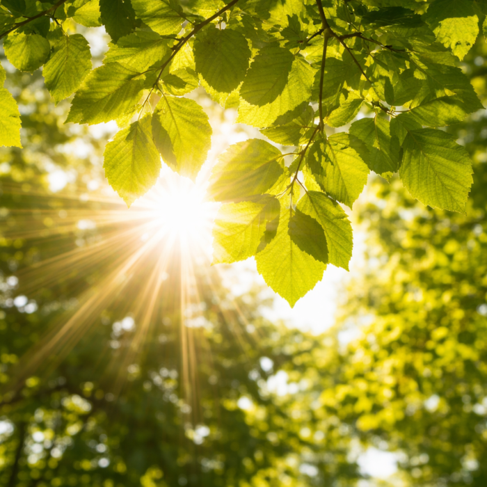 ChatGPT Image 14 jan 2026, 11_09_50