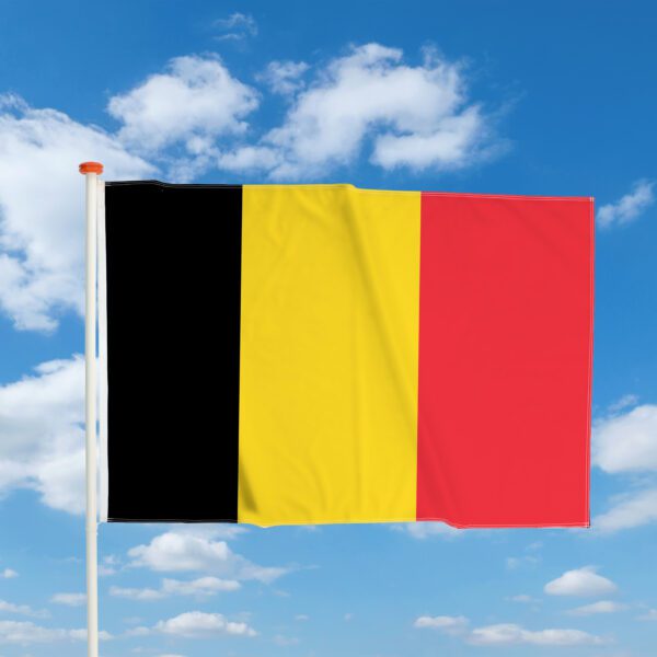 Mastvlag Belgie - Afbeelding 2
