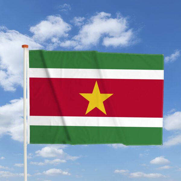 Mastvlag Suriname - Afbeelding 2