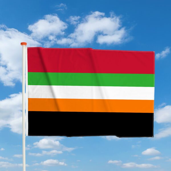 Mastvlag Volendam - Afbeelding 2