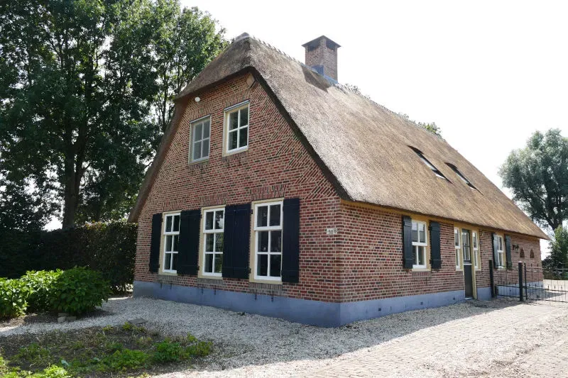 Onderhoud rieten dak