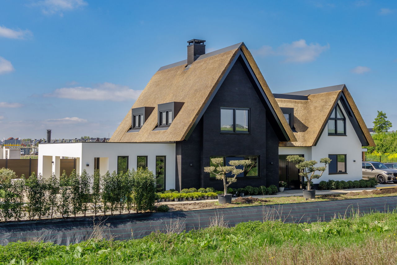 Nieuwbouw rieten dak 6643