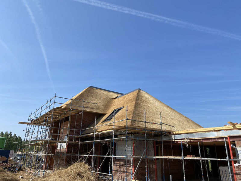 nieuwbouw rieten dak dinteloord