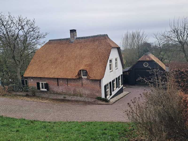 onderhouden rieten dak woudrichem