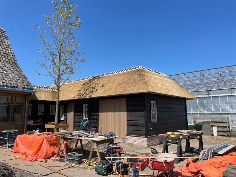 rieten dak nieuwbouw naarldwijk