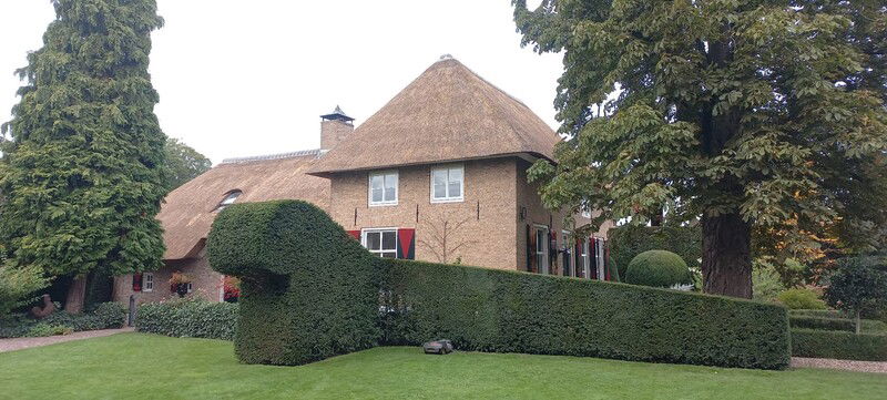 rieten dak onderhoud wijk en aalburg