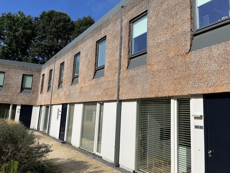 rieten dak op nieuwbouwwoningen tilburg