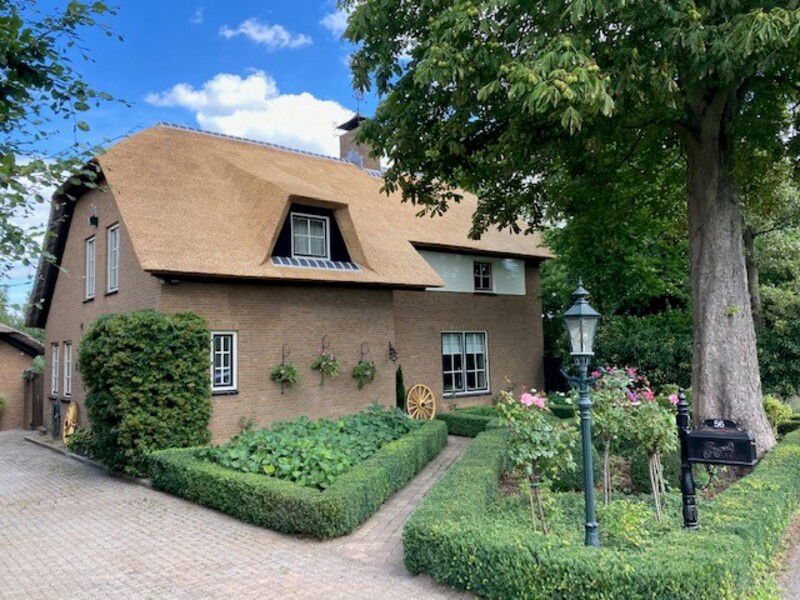 Werkendam-renovatie-rieten-dak