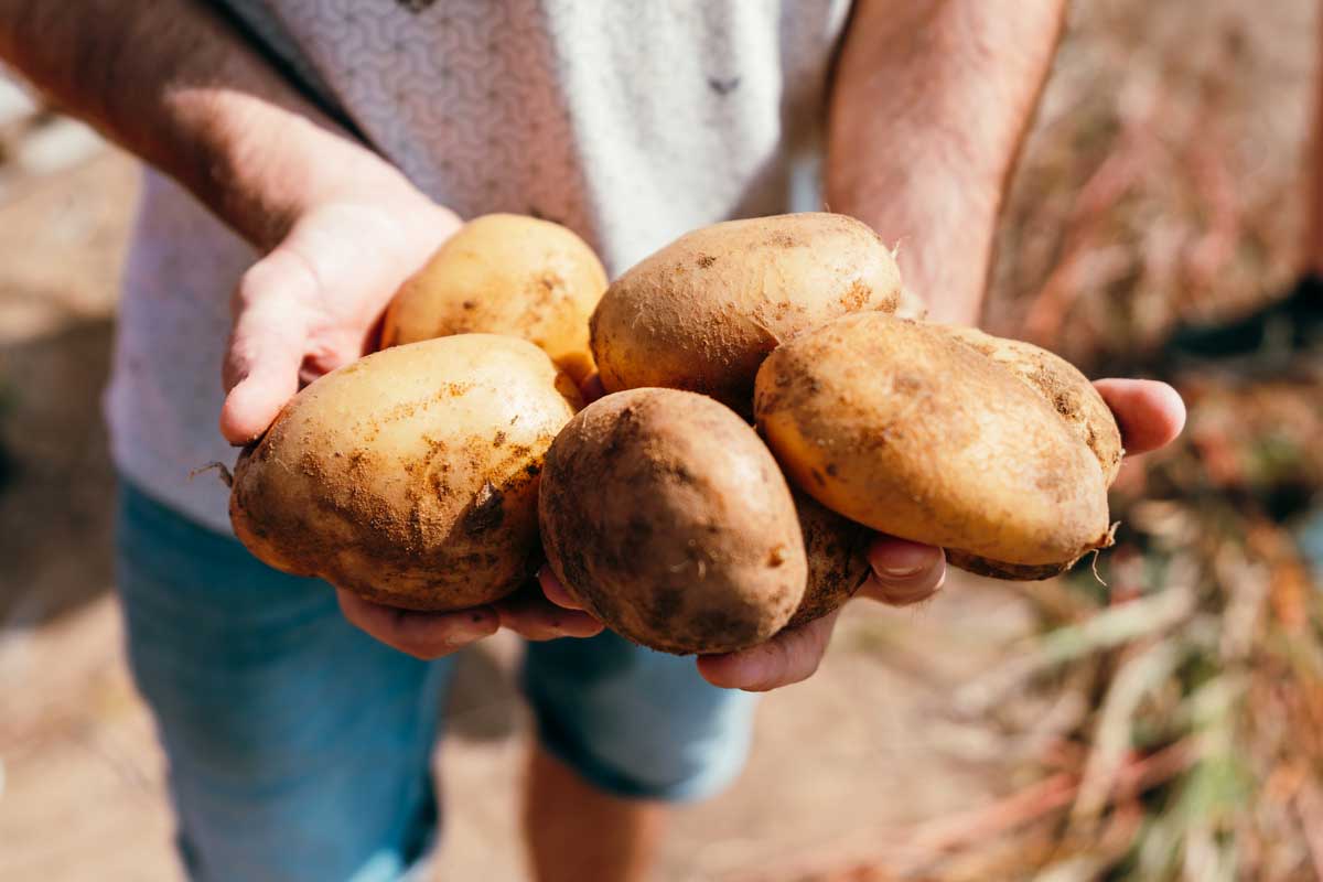 NAO aanwezig bij Ontmoet de Boer dag 11 oktober