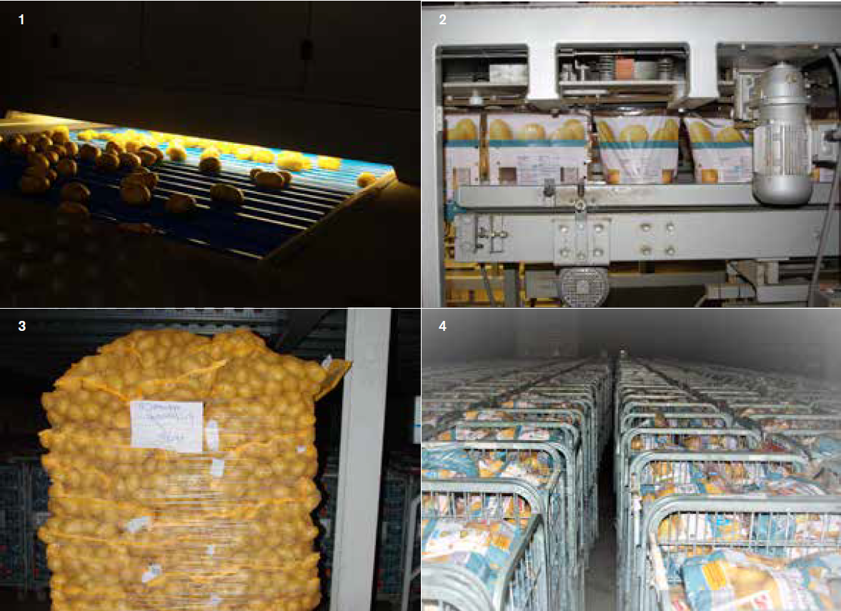 At packing stations, after cleaning, potatoes are graded and optically sorted, packed (2) and palletized (3) or placed in containers (4) before being transported to outlets as diverse as supermarkets, catering companies and cruise ships.