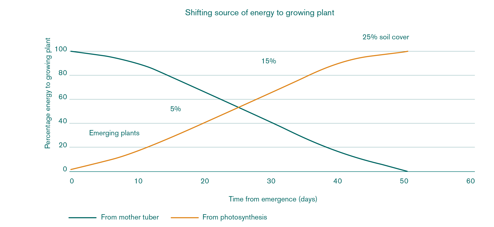 Shifting source of energy to growing plant