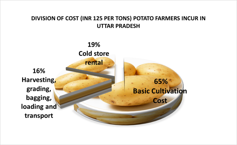 Chart with potatoes showing the division of costs potato farmers incur in Uttar Pradesh.