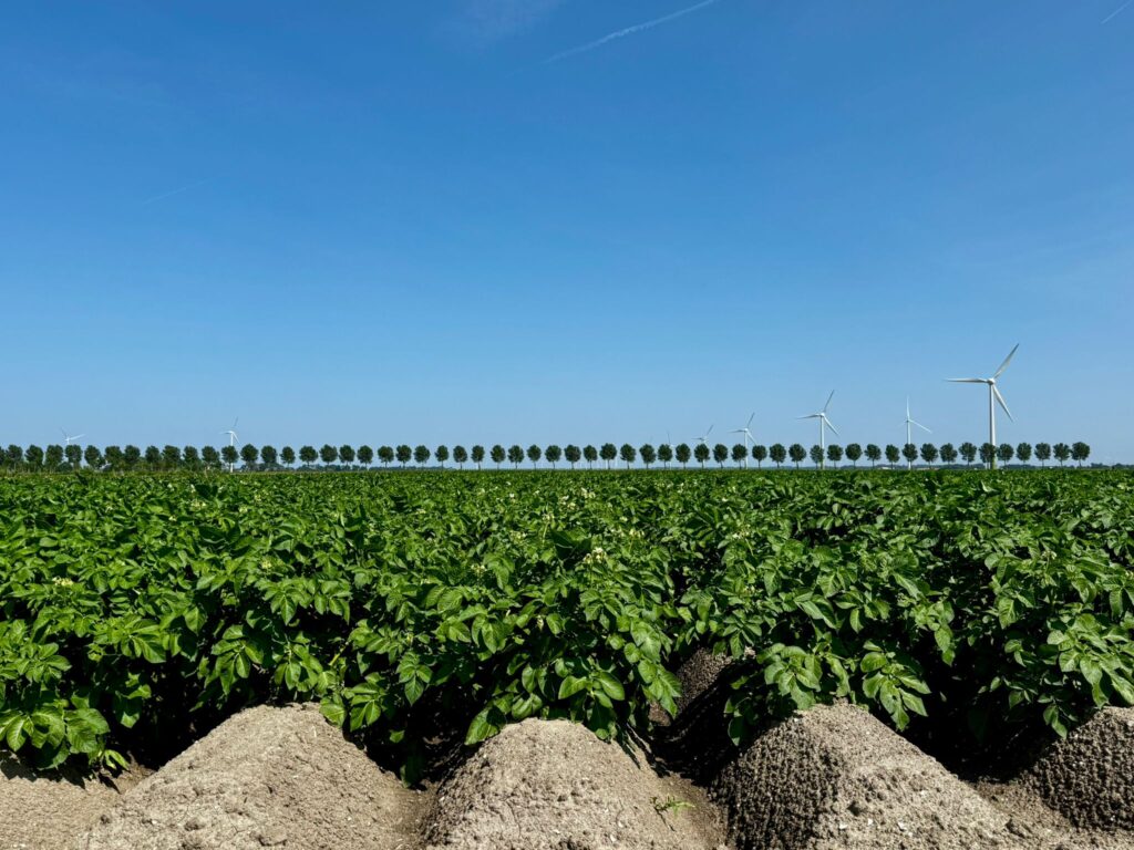 PotatoEurope 2025