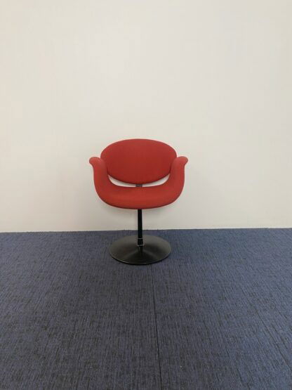 Vergaderstoel Artifort Little Tulip (design) - rode stoffering, zwart onderstel - Afbeelding 3