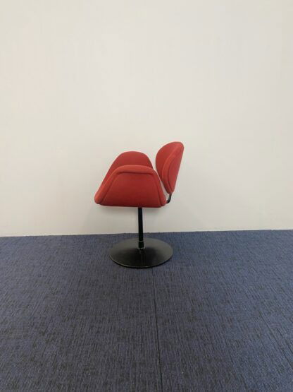 Vergaderstoel Artifort Little Tulip (design) - rode stoffering, zwart onderstel - Afbeelding 4