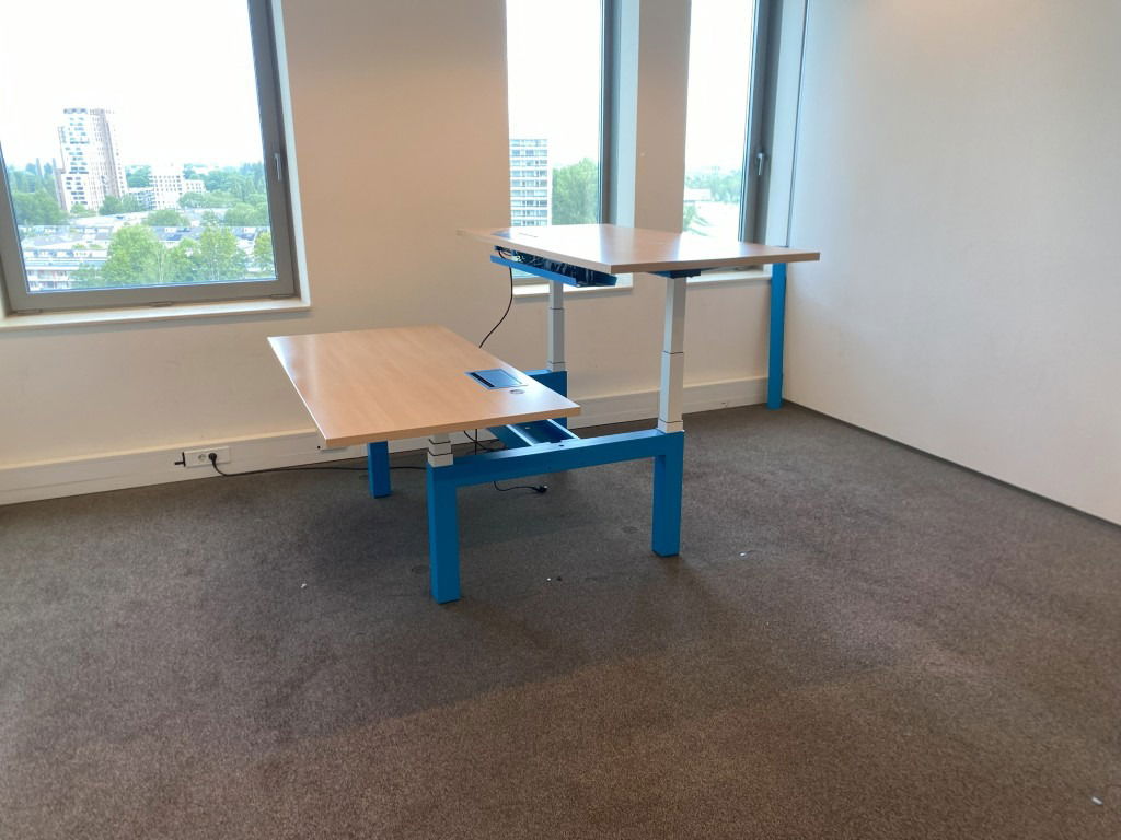 Bench zit/sta bureau Gispen (elektrisch), beuken blad, blauw/wit onderstel, 160 x 170 cm.