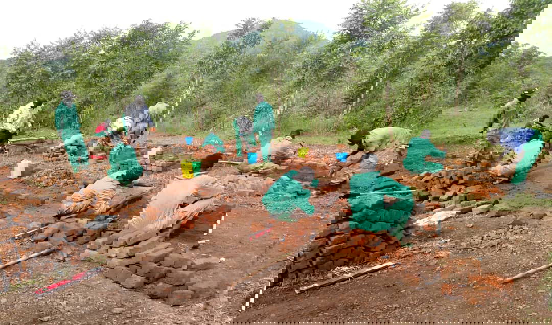 Project Oeganda